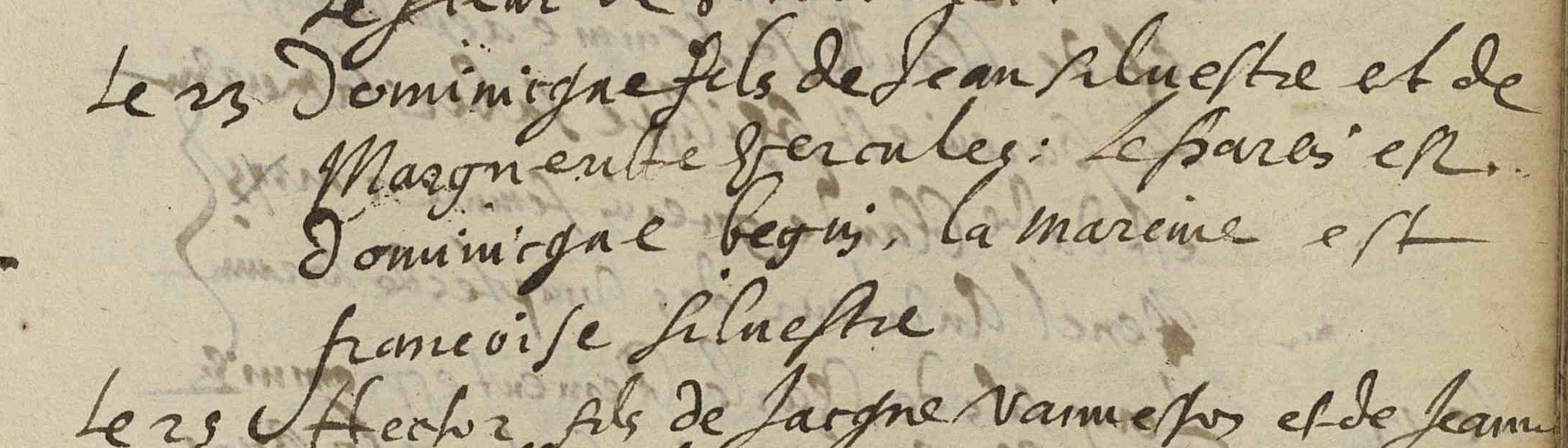 Baptème de Dominique Silvestre - Document 1