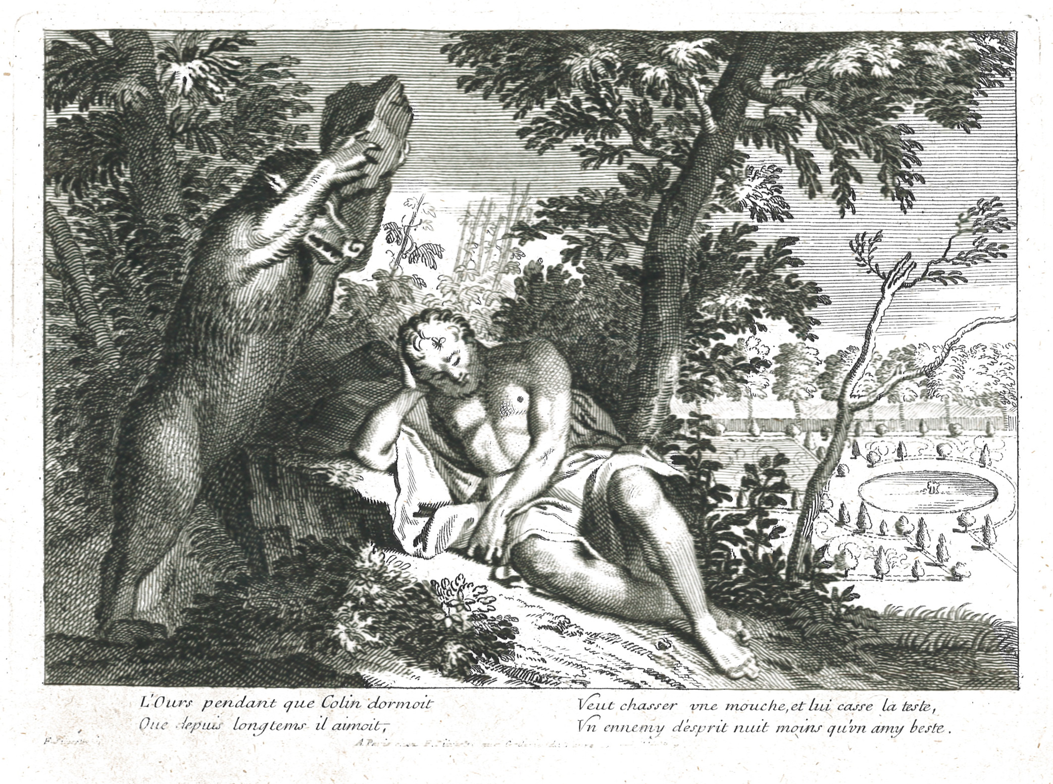 Colin et l'Ours