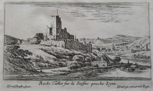 Roche Taillet sur la Saosne proche Lyon.