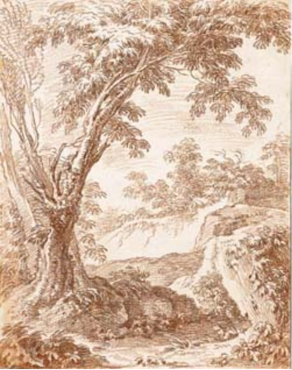 Nicolas-Charles Silvestre : Paysage forestier avec une ravine