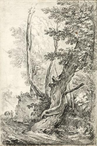 Paysage au sentier parmi les arbresNicolas-Charles de Silvestre