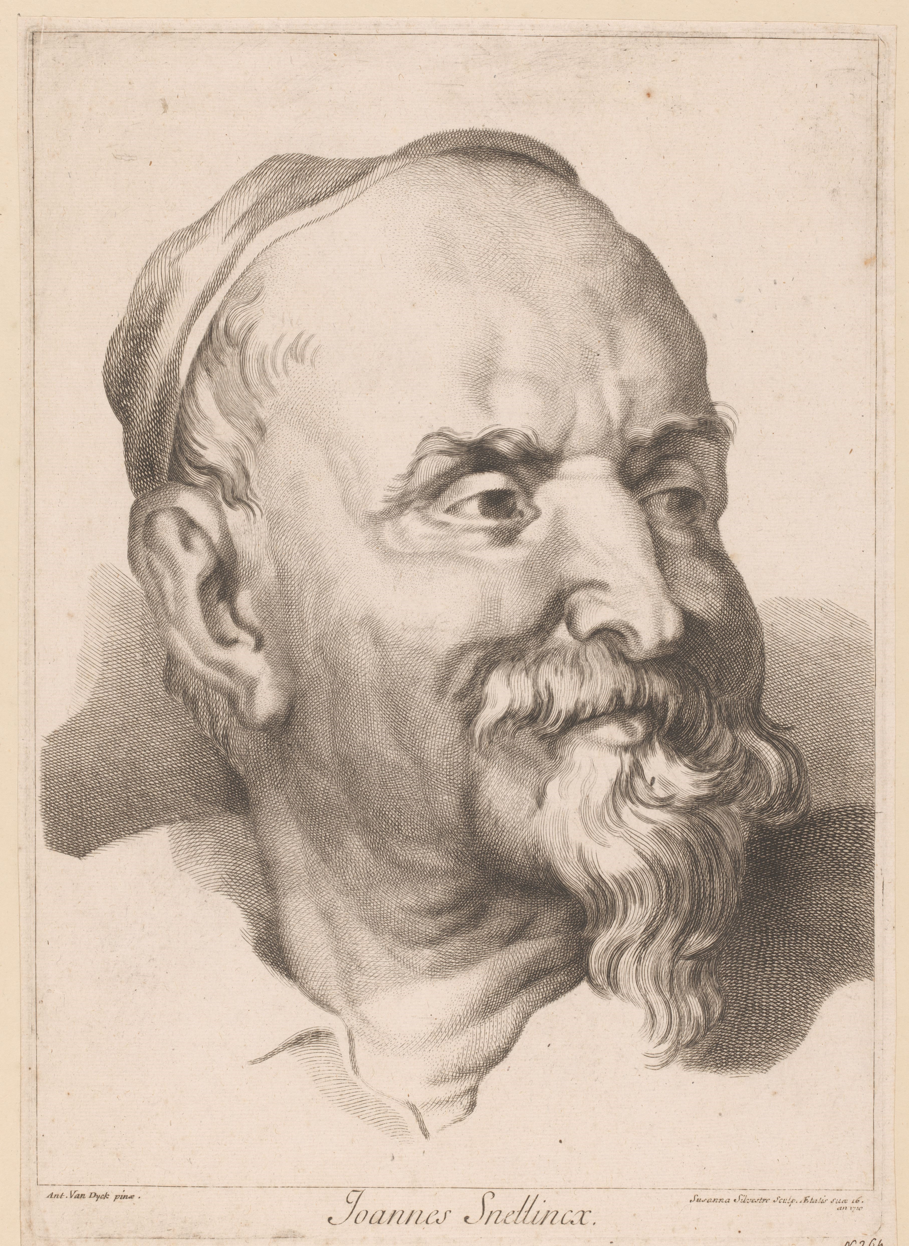 Suzanne Silvestre : Joannes Snellincx d'après van Dyck